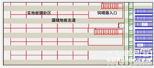 . 群养栏ESF(电子母猪饲喂)系统布局原则示意
